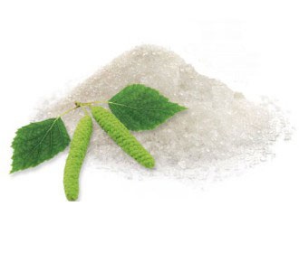 Zucchero di betulla o xilitolo