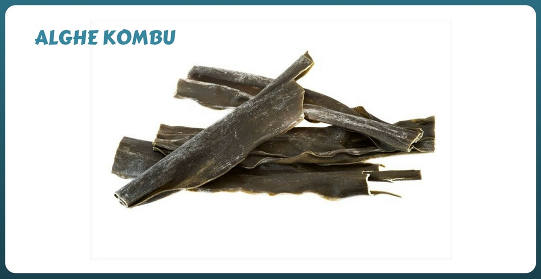 Le alghe kombu si usano in cottura con i legumi. alga-kombu-alghe-commestibili-proprietà-biolis